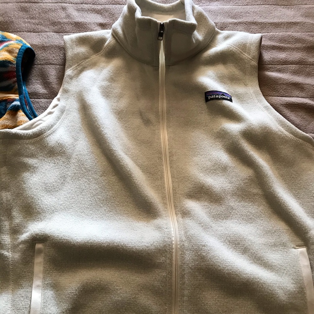 Better Sweater Patagonia vest